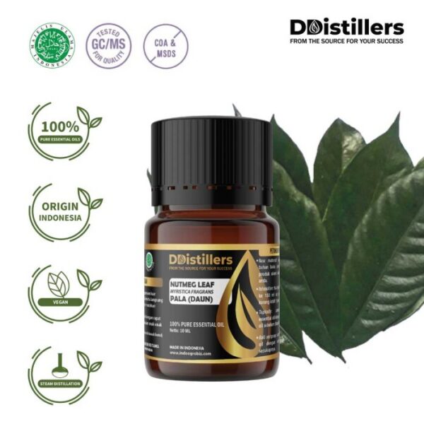 Nutmeg Leaf / Daun Pala Essential Oil Pure 100%, 2-10ML GS
