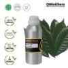 Nutmeg Leaf / Daun Pala Essential Oil Pure 100%, 500ML-1L HDPE/SS