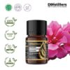 Geranium / Geranium Essential Oil Pure 100%, 2-10ML GS