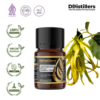 Cananga (Garden) / Kenanga Tumpuk Essential Oil Pure 100%, 2-10ML GS