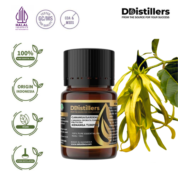 Cananga (Garden) / Kenanga Tumpuk Essential Oil Pure 100%, 2-10ML GS