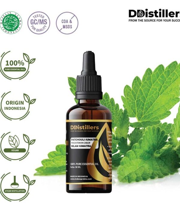 Patchouli (Sumatra) / Nilam (Sumatra) Essential Oil Pure 100%, 50-100ML GS