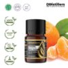 5c99fb8f412542e488241808d6f8d53e.jpg Tangerine / Jeruk Mandarin Essential Oil Pure 100%, 2-10ML GS