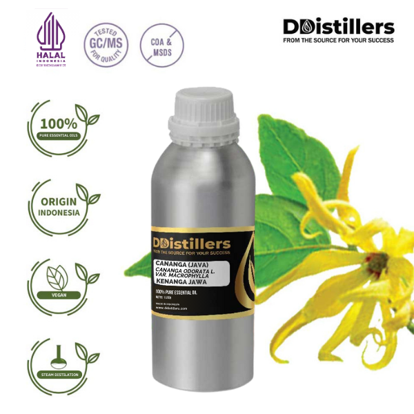 Cananga (Java) / Kenanga Jawa Essential Oil Pure 100%, 500ML-1L HDPE/SS