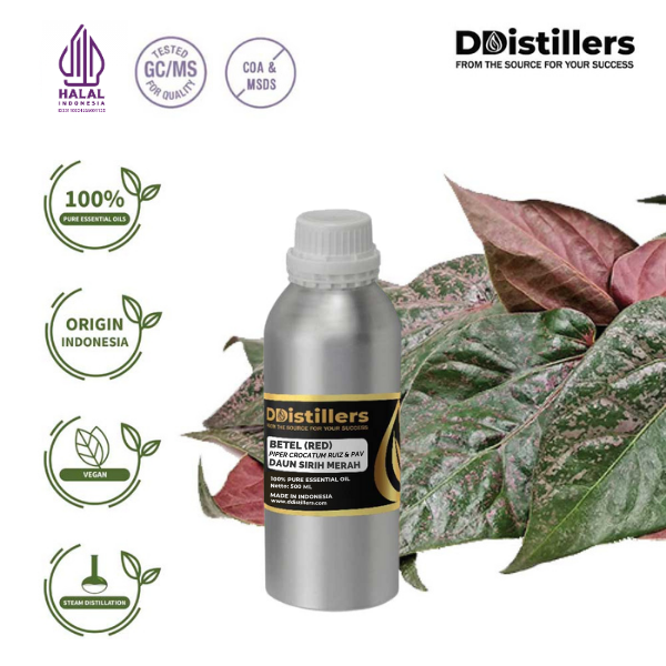Betel (Red) / Sirih Merah Essential Oil Pure 100%, 500ML-1L HDPE/SS