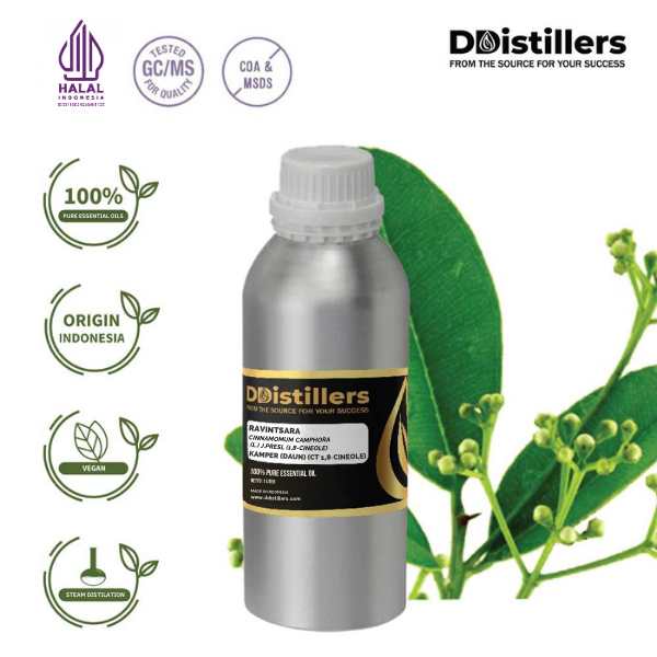 Ravintsara / Daun Kamper (CT 1,8-Cineol) Essential Oil Pure 100%, 500ML-1L HDPE/SS