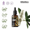 Cajuput (Papua) / Kayu Putih (Papua) Essential Oil Pure 100%, 50-100ML GS