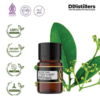 5f0ee1f398bb4bacb5dadc7ec97226cc.png Ravintsara / Daun Kamper (CT 1,8-Cineol) Essential Oil Pure 100%, 2-10ML GS