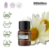 Chamomile (Roman) / Bunga Camomile Romawi Essential Oil Pure 100%, 2-10ML GS