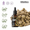 Cardamom (Java) / Kapulaga Essential Oil Pure 100%, 50-100ML GS
