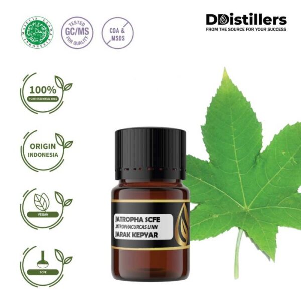 Jatropha SCFE / Jarak Kepyar Essential Oil Pure 100%, 2-10ML GS