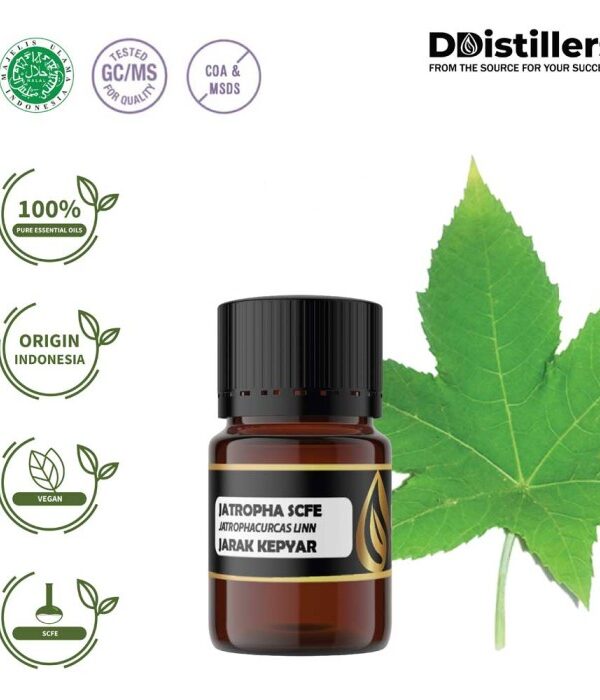Jatropha SCFE / Jarak Kepyar Essential Oil Pure 100%, 2-10ML GS