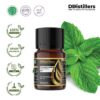 Peppermint (Piperita) / Mint Essential Oil Pure 100%, 2-10ML GS