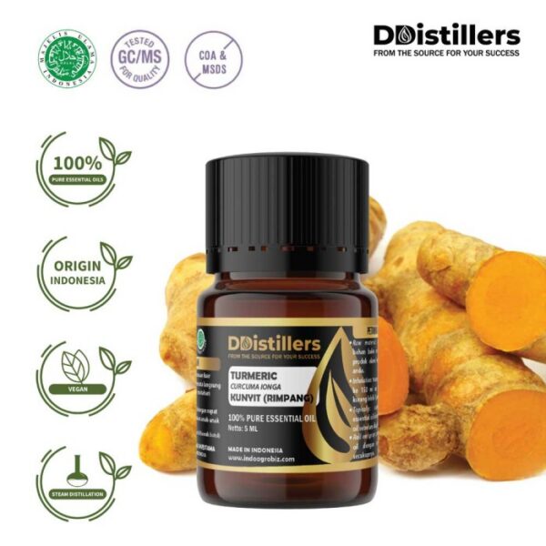 Turmeric / Kunyit Essential Oil Pure 100%, 2-10ML GS