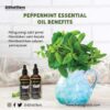 Peppermint Essential Oil 100 % Pure Volume 5 ml