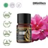 Geranium / Geranium Essential Oil Pure 100%, 2-10ML GS