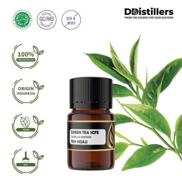 Green Tea SCFE / Teh Hijau Essential Oil Pure 100%, 2-10ML GS