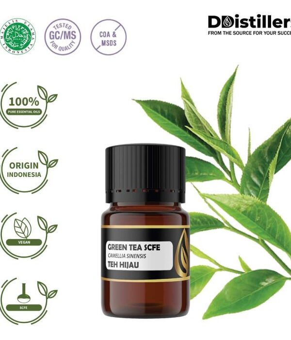 Green Tea SCFE / Teh Hijau Essential Oil Pure 100%, 2-10ML GS