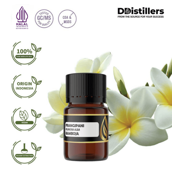 Frangipani / Kamboja Absolute Oil Pure 100%, 2-10ML GS