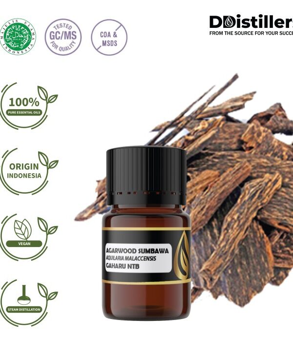 6290d80c261b4b1a963ff9f5ddc54a55.jpg Agarwood Sumbawa / Gaharu NTB Essential Oil Pure 100%, 3-12ML GS