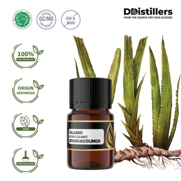 6301a3265e9a48a385f59099cad2bc93.jpg Calamus / Sweet Flag / Jerangau / Dlingo Essential Oil Pure 100%, 2-10ML GS