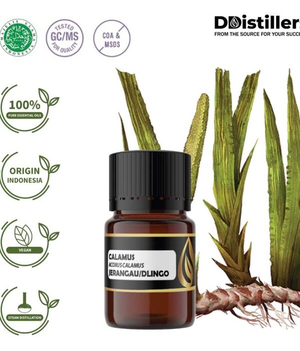 Calamus / Sweet Flag / Jerangau / Dlingo Essential Oil Pure 100%, 2-10ML GS