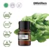 6303af2b19534f09ab383baeb804f6cc-1.jpg Basil (Lemon) / Kemangi Essential Oil Pure 100%, 2-10ML GS