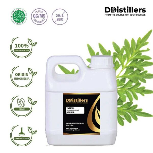 Tagetes Marigold / Kenikir Hias / Bunga Marigold Essential Oil Pure 100%, 500ML-1L HDPE/SS