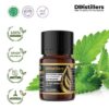 Patchouli (Java) / Nilam Jawa Essential Oil Pure 100%, 2-10ML GS