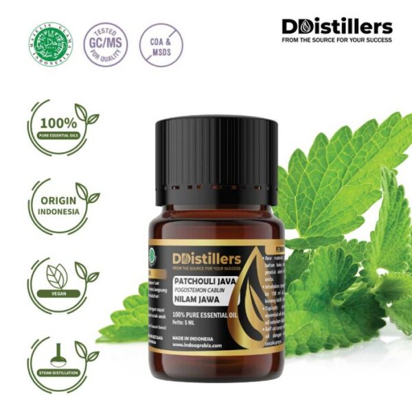 Patchouli (Java) / Nilam Jawa Essential Oil Pure 100%, 2-10ML GS