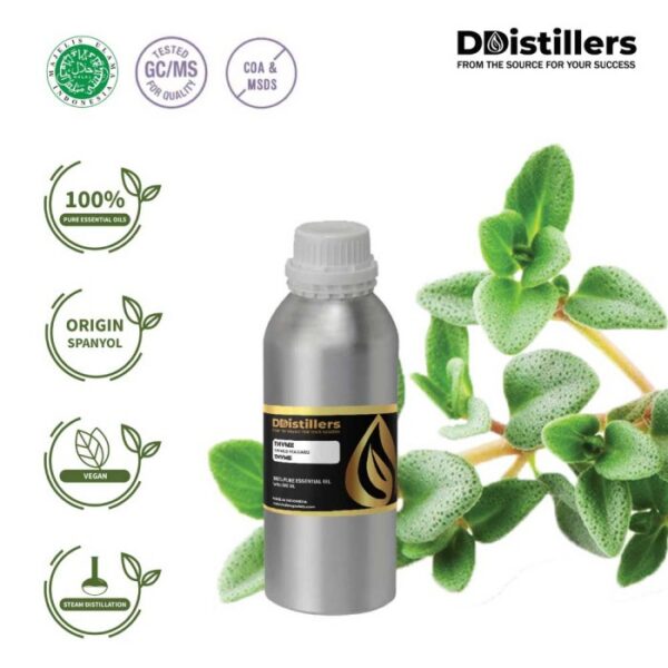 63a33f7ae74d478bacab812ce2a25204.jpg Thyme Common / Thyme / Throat Herb Essential Oil Pure 100%, 500ML-1L HDPE/SS