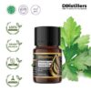 Coriander Leaf / Daun Ketumbar Essential Oil Pure 100%, 2-10ML GS