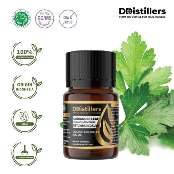 Coriander Leaf / Daun Ketumbar Essential Oil Pure 100%, 2-10ML GS