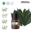 Nutmeg Leaf / Daun Pala Essential Oil Pure 100%, 2-10ML GS