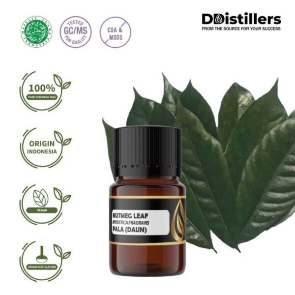 Nutmeg Leaf / Daun Pala Essential Oil Pure 100%, 2-10ML GS