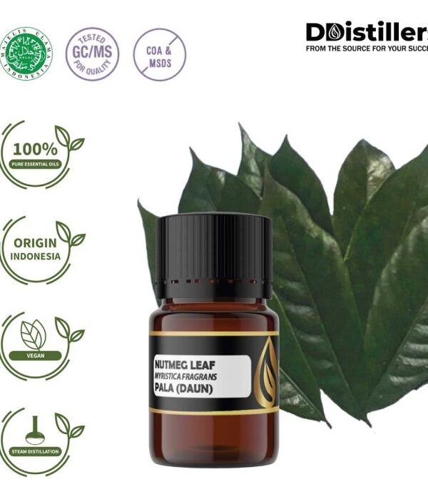Nutmeg Leaf / Daun Pala Essential Oil Pure 100%, 2-10ML GS