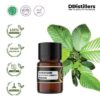 Gurjun Dark / Keruing Essential Oil Pure 100%, 2-10ML GS