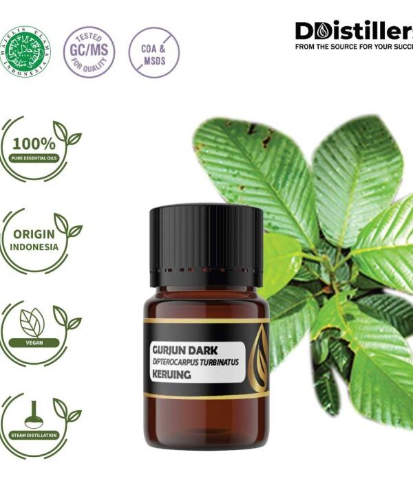 Gurjun Dark / Keruing Essential Oil Pure 100%, 2-10ML GS