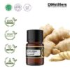 Ginger (Small) / Jahe Emprit Essential Oil Pure 100%, 2-10ML GS