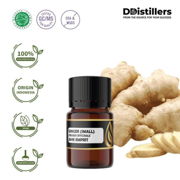 Ginger (Small) / Jahe Emprit Essential Oil Pure 100%, 2-10ML GS