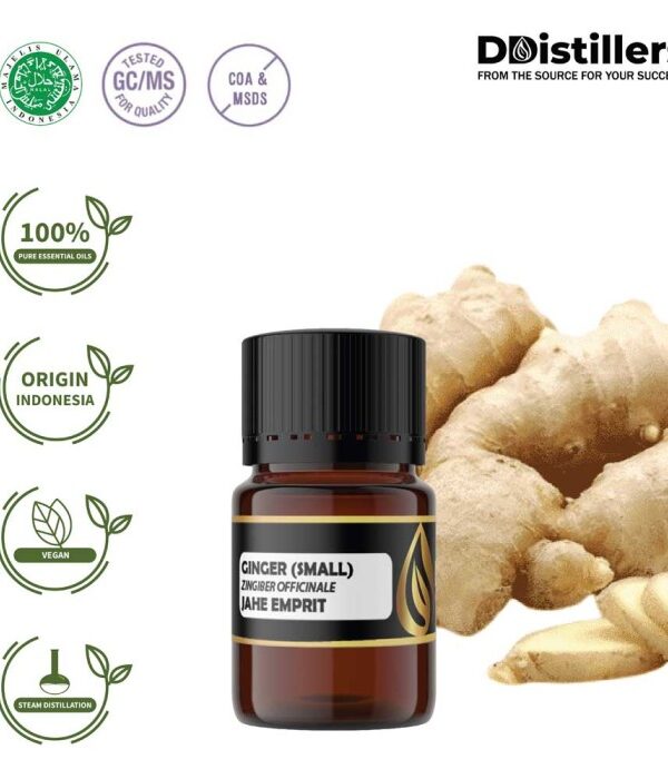 Ginger (Small) / Jahe Emprit Essential Oil Pure 100%, 2-10ML GS