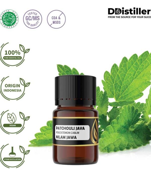 Patchouli (Java) / Nilam Jawa Essential Oil Pure 100%, 2-10ML GS