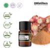 6549ecf3a3fd49ed8cc70afa7e3ad1df.jpg Lajagowah / Lengkuas Hutan Essential Oil Pure 100%, 2-10ML GS
