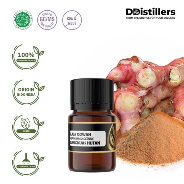 6549ecf3a3fd49ed8cc70afa7e3ad1df.jpg Lajagowah / Lengkuas Hutan Essential Oil Pure 100%, 2-10ML GS