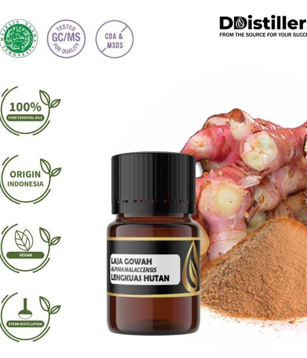 6549ecf3a3fd49ed8cc70afa7e3ad1df.jpg Lajagowah / Lengkuas Hutan Essential Oil Pure 100%, 2-10ML GS