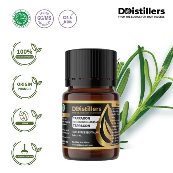 Tarragon / Tarragon Essential Oil Pure 100%, 2-10ML GS