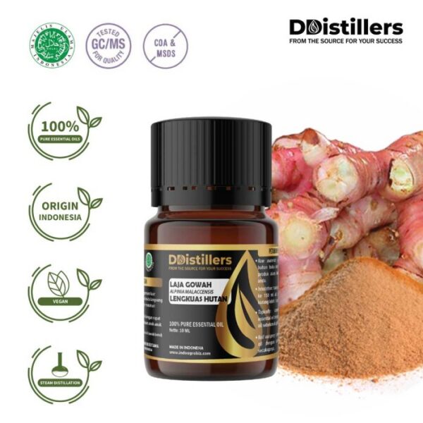 6707bfca8dce452489867323d2f397e5.jpg Lajagowah / Lengkuas Hutan Essential Oil Pure 100%, 2-10ML GS