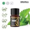 Patchouli (Java) / Nilam Jawa Essential Oil Pure 100%, 2-10ML GS