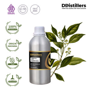 Camphor Leaf / Daun Kamper Essential Oil Pure 100%, 500ML-1L HDPE/SS
