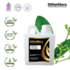 Ravintsara / Daun Kamper (CT 1,8-Cineol) Essential Oil Pure 100%, 500ML-1L HDPE/SS